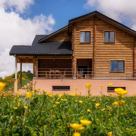 Snow Time Eco Chalet Gudauri Luaran gambar
