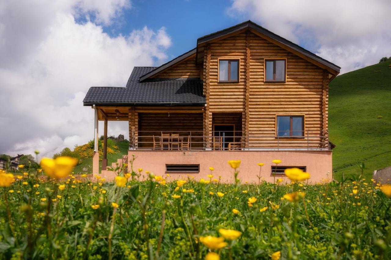 Snow Time Eco Chalet Gudauri Luaran gambar