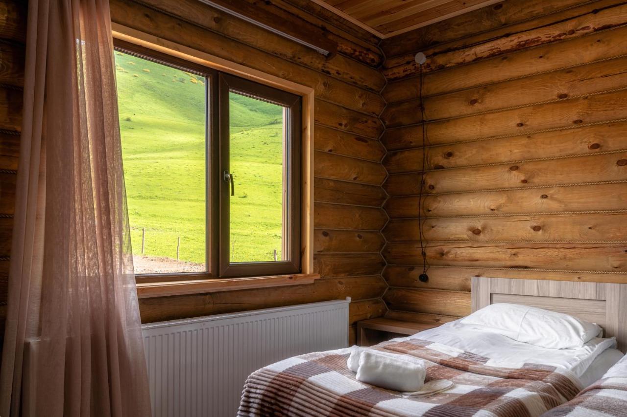 Snow Time Eco Chalet Gudauri Luaran gambar