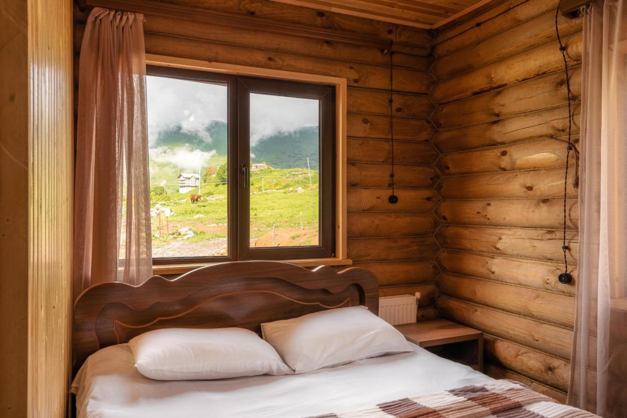 Snow Time Eco Chalet Gudauri Luaran gambar